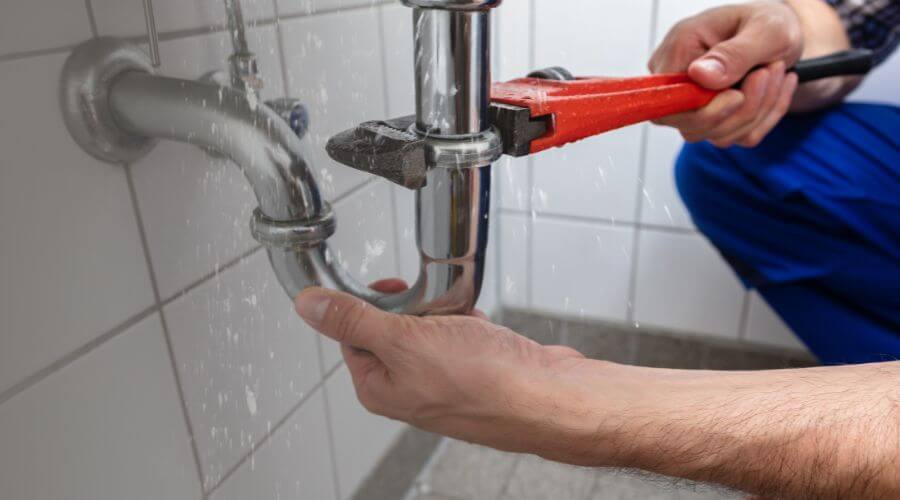 Professional Leak Detection services in Metcalfe, MS